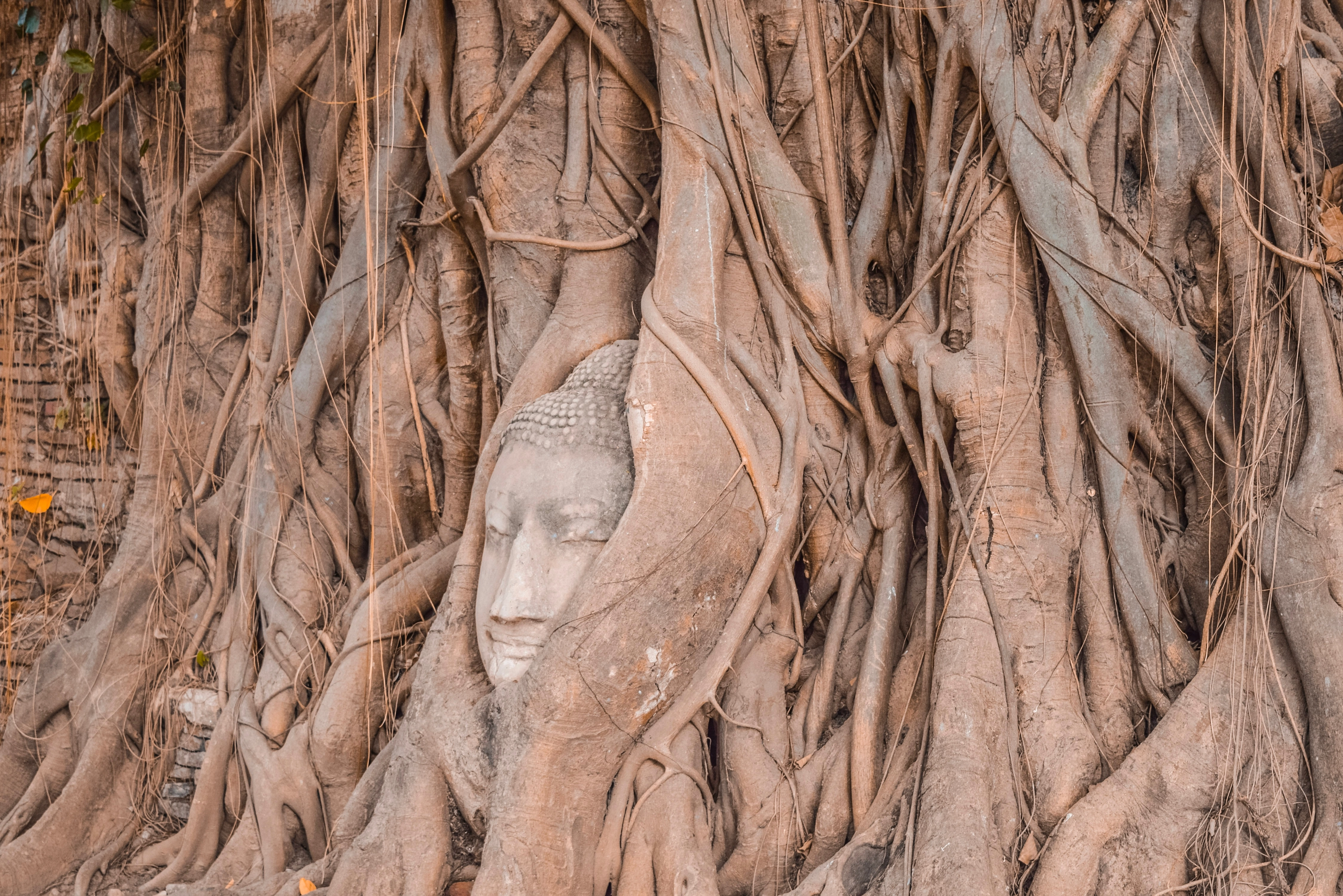 Silp Pa Phra Nakhon Si Ayutthaya, Thaïlande