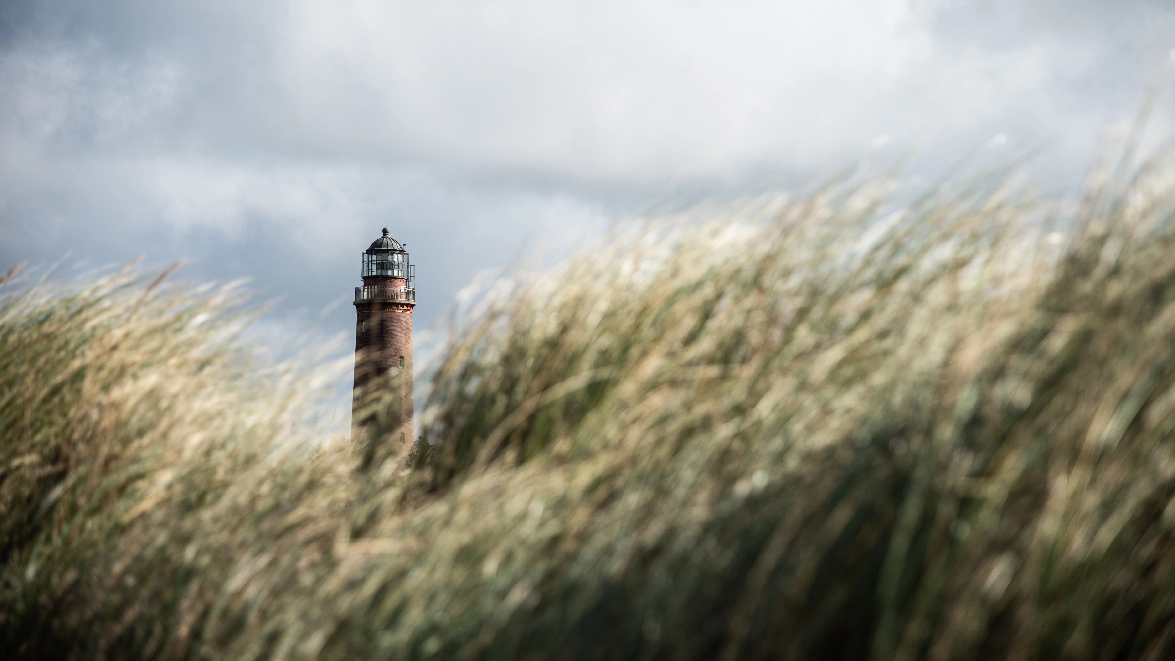 Phare au milieu de grandes herbes