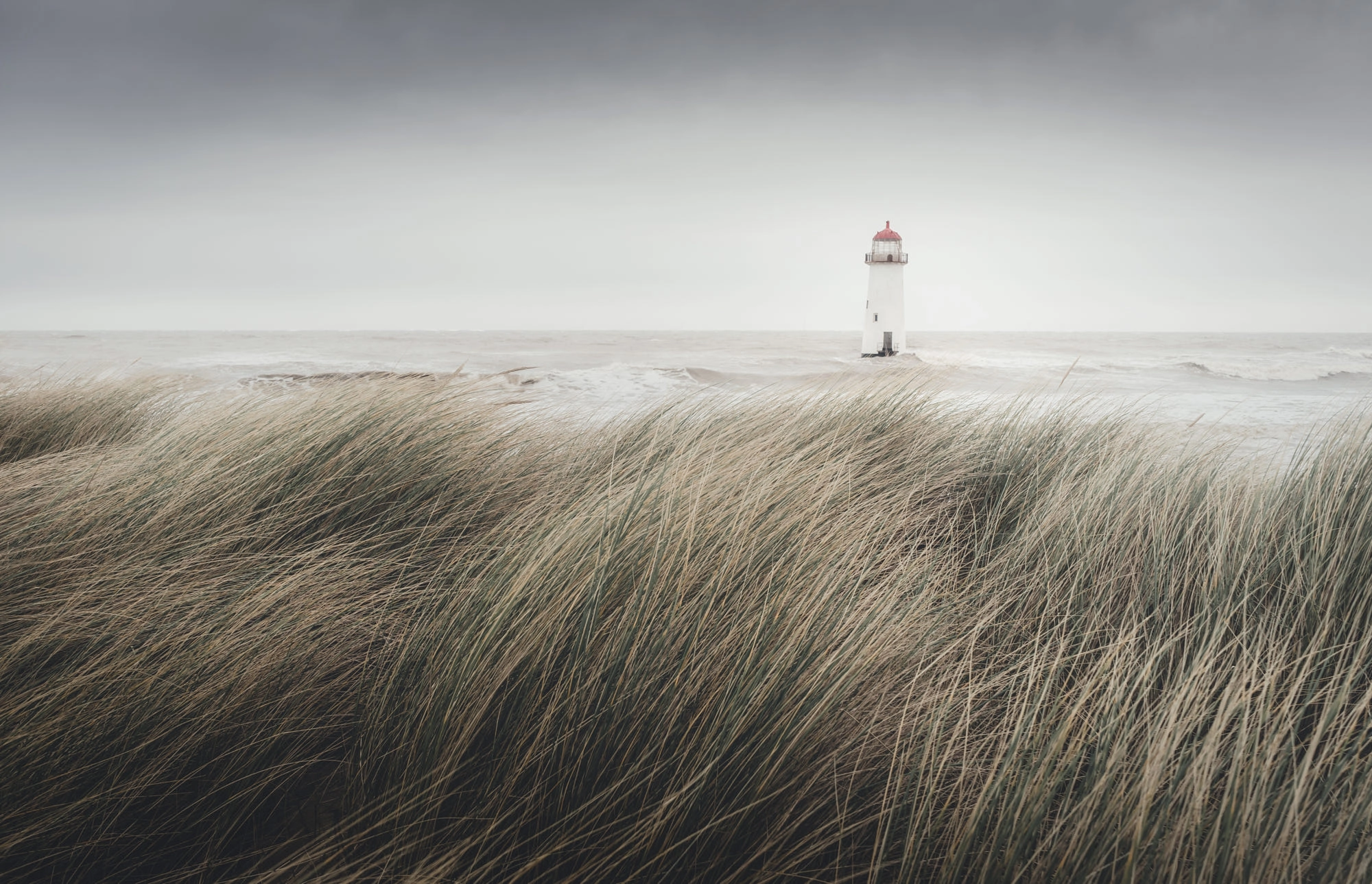 Dunes en bord de mer