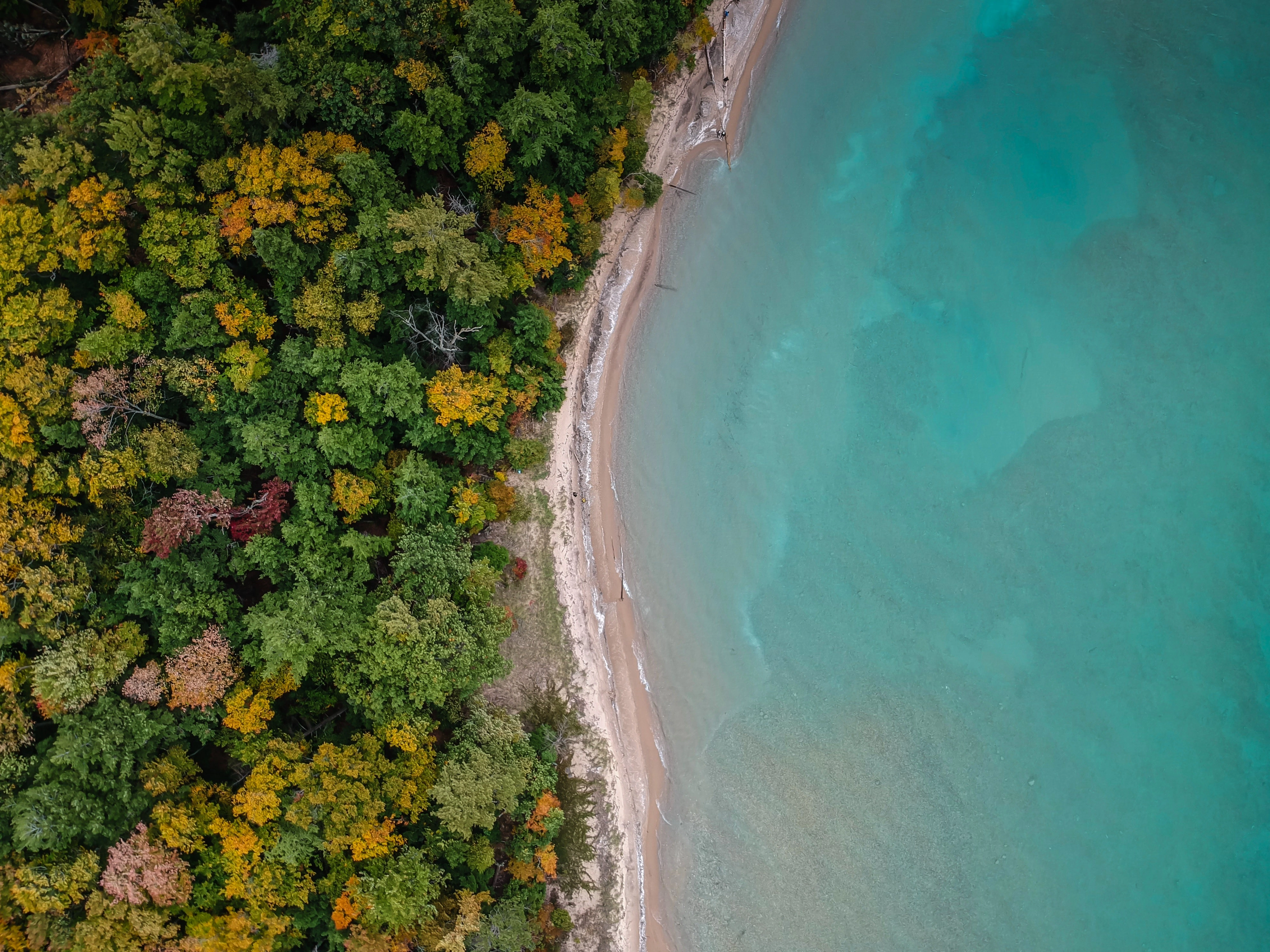 Rive du lac Michigan vue du ciel, Traverse City, USA