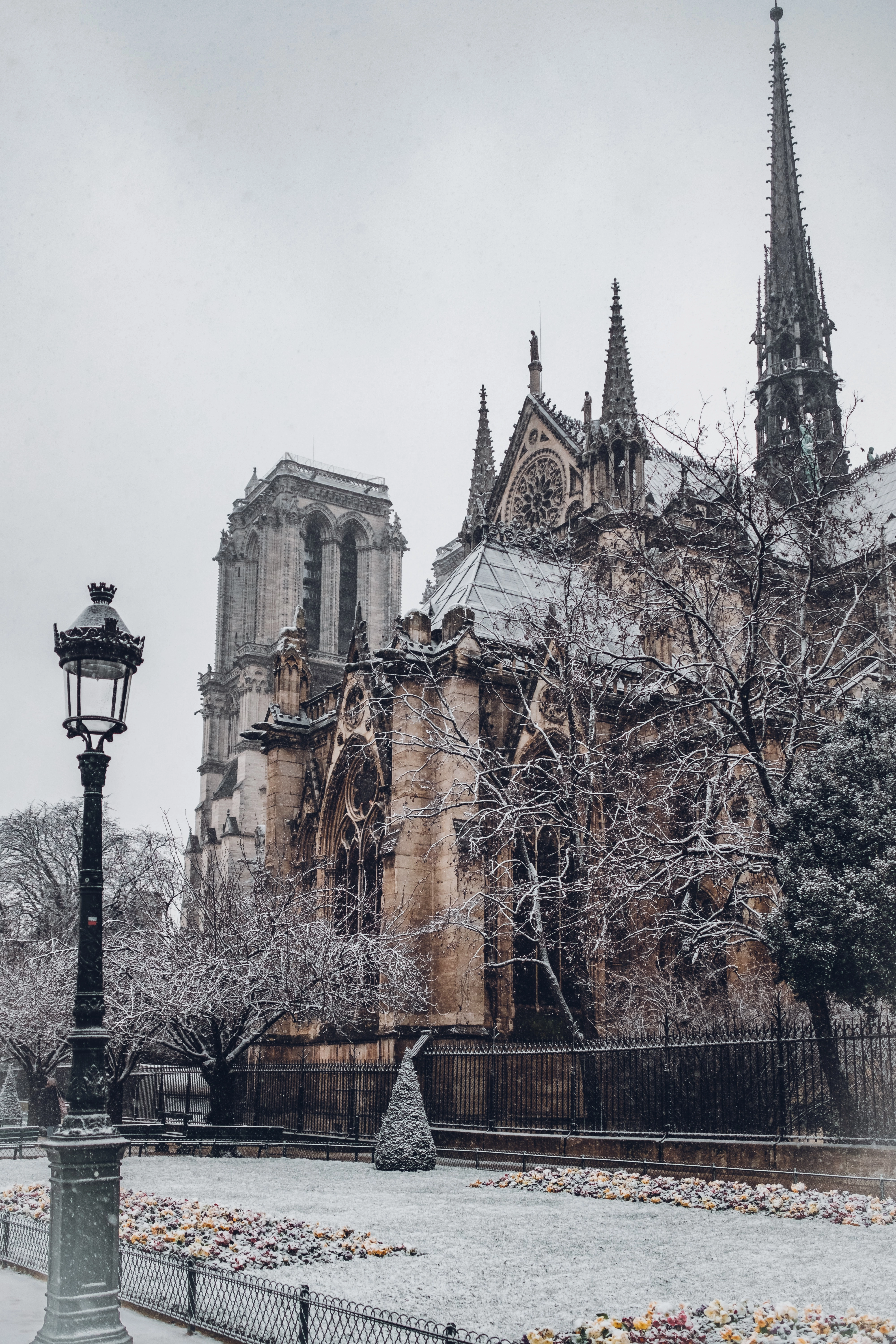 Notre-Dame de Paris sous la neige